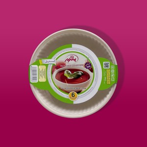 کاسه گیاهی 300 سی سی پندار